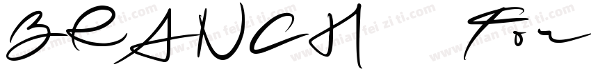 BRANCH   For Personal Use Only字体转换